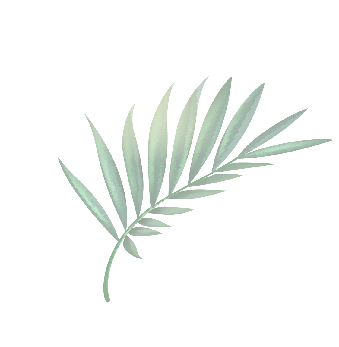 Ayurveda school Sri Lanka by michi